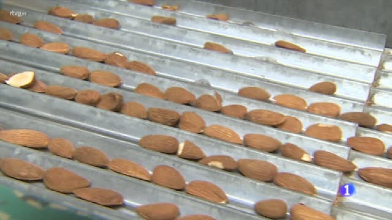 Ya ha comenzado la campaña de mantecados y polvorones en Estepa | Ver