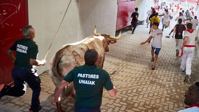 Miguel Reta, 30 aos dedicado a poner orden en los encierros de San Fermn: "El toro manda y decide cmo va a ir"