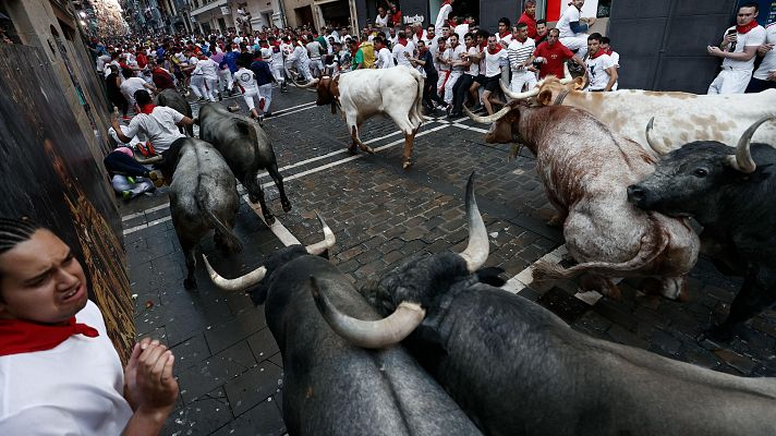 San Fermn 2024: los toros de la ganadera de Jos Escolar en el segundo encierro de los Sanfermines 2023