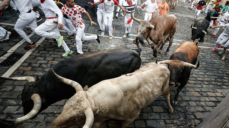 Fuente Ymbro, toros de fina piel y galope alegre, garanta de bravura y casta en el cuarto encierro