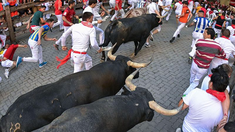 Miura, ganadera de pura leyenda que cumple 42 aos en Pamplona y nunca decepciona, en el ltimo encierro