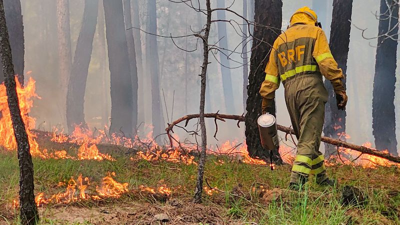 Así es el día a día de las BRIF, las Brigadas de Refuerzo en Incendios Forestales: expertos en la lucha contra el fuego