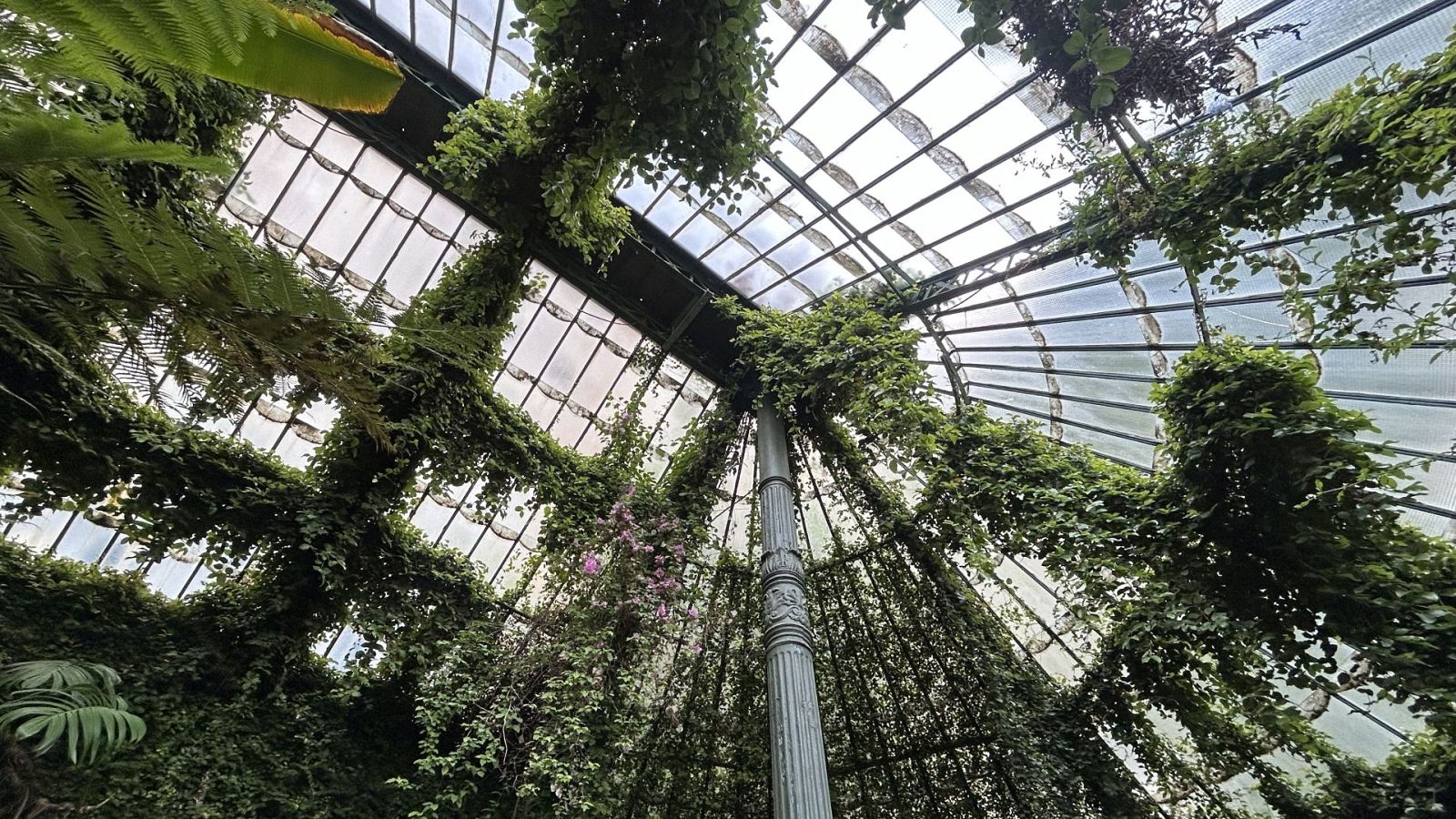 Jardines con historia - Jardín Botánico de Madrid - ver ahora