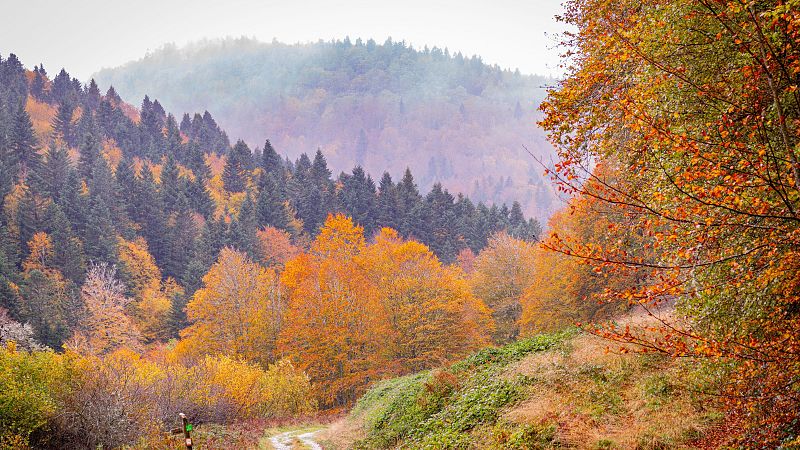 La UNESCO reconoce a Irati (Navarra) y Val d'Aran (Lleida) como nuevas reservas de la biosfera