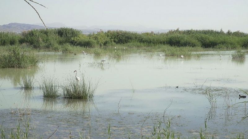 'Comando Actualidad' se mete 'En terreno pantanoso'