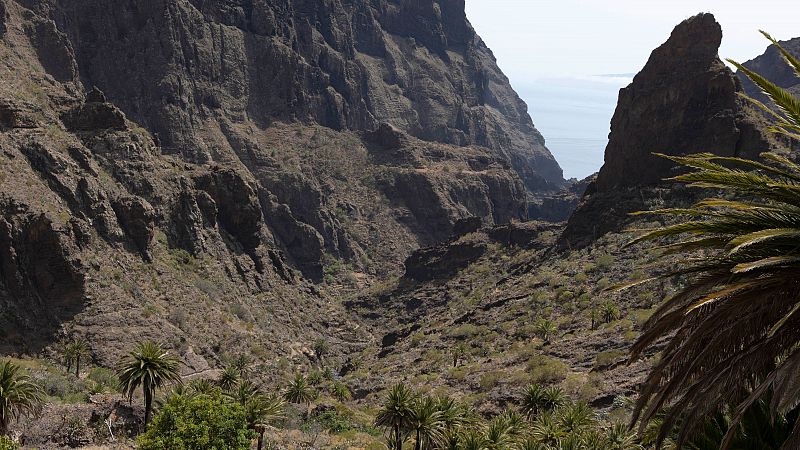 Las autoridades confirman que el joven britnico que desapareci hace un mes en Tenerife muri por una cada