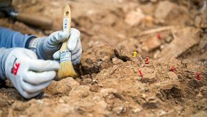 Encuentran nuevos restos fsiles de 'Homo Antecessor' en Atapuerca