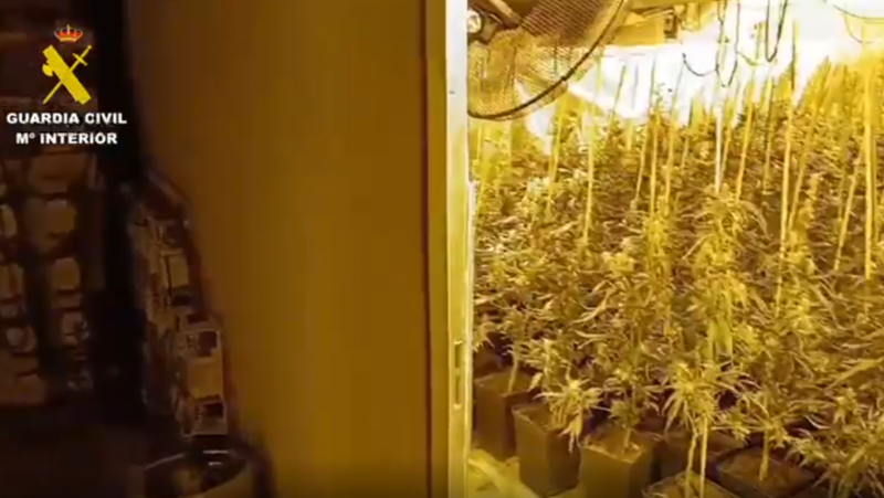 Desmantelado un laboratorio clandestino de marihuana en un polgono de vila