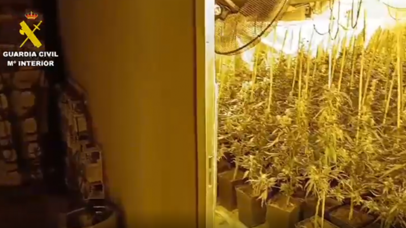 Desmantelado un laboratorio clandestino de marihuana en un polígono de Ávila