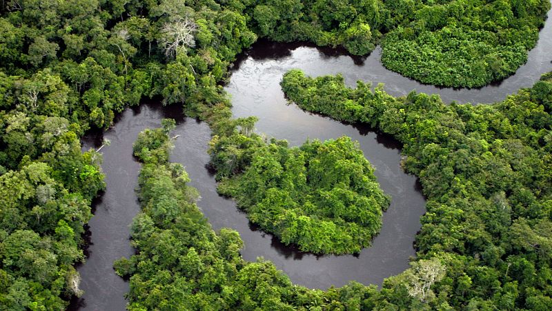 La deforestación en la Amazonía brasileña cae un 45,7% en el último año, su nivel más bajo desde 2016