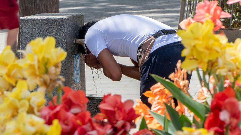 El tiempo en España el 11 de agosto: Aviso rojo por altas temperaturas en Cantabria y País Vasco