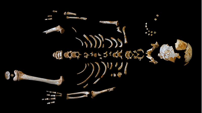 Los neandertales crecían tan despacio como los humanos modernos