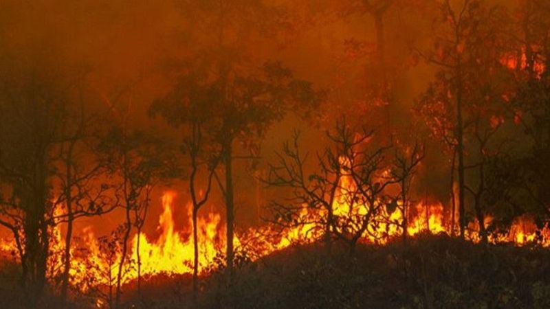 El cambio climático aumentó el riesgo de grandes incendios en 2023, según un estudio