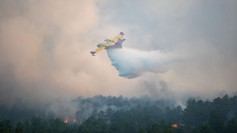 Estabilizado el incendio de Zamora que obligó a desalojar la localidad de Sejas de Aliste y a cortar la N-122