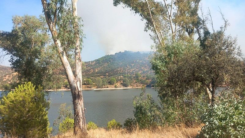 Estabilizan el incendio forestal en la Sierra de Andújar, en Jaén, y los vecinos pueden volver a sus casas