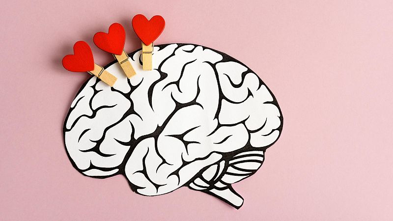 Un estudio desvela dónde reside el amor en el cerebro y cómo se activa