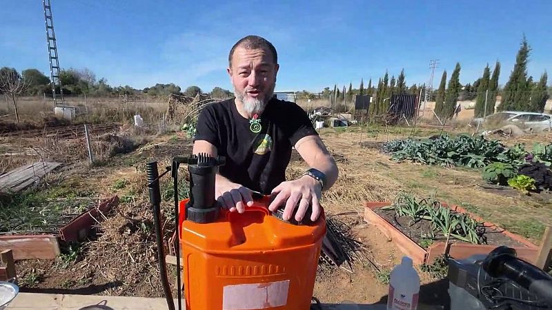 Així pots fer un insecticida 100% ecològic i casolà