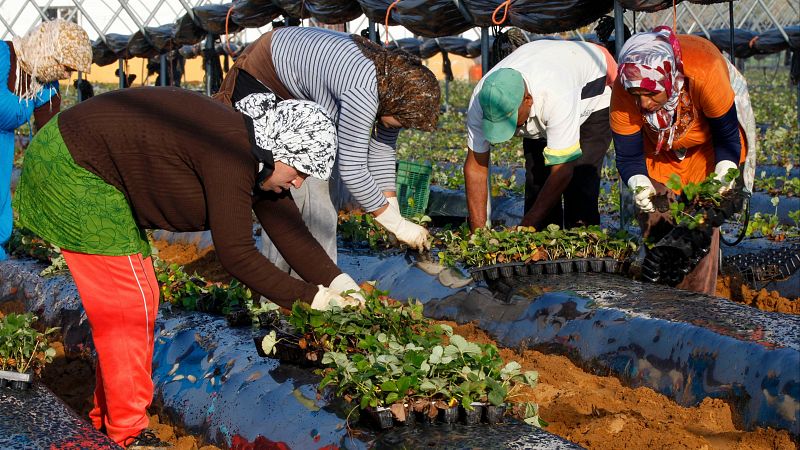 El campo recuerda que la migración circular no es nueva y pide que no sea un "brindis al sol": los retos de la medida