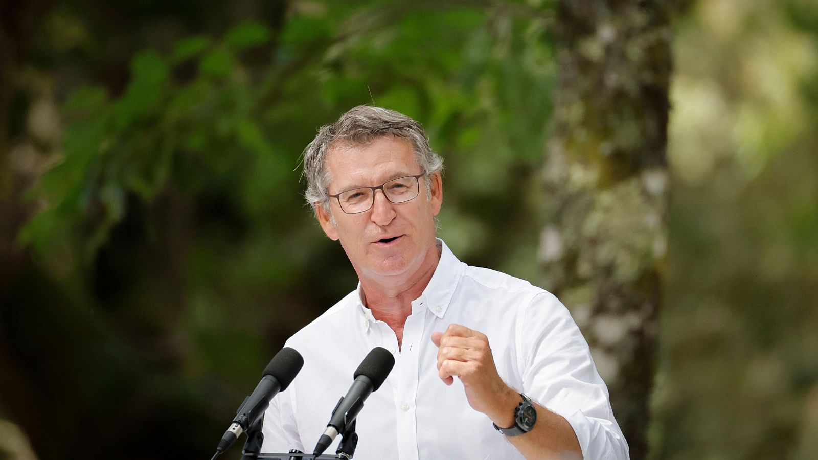 Feijóo acusa a Sánchez de crear "una crisis sin precedentes" con la inmigración - Fin de semana 24h | Ver