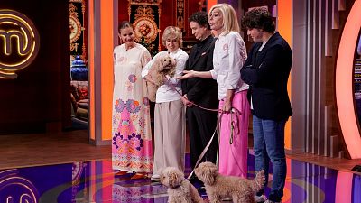 'MasterChef Celebrity' cocinar por primera vez para perros