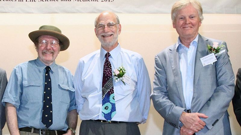 Los estadounidenses Hall, Rosbash y Young, Nobel de Medicina por sus estudios del "reloj biológico"