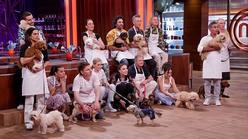 MasterChef Celebrity 9 | La lista de alimentos prohibidos para tus perros