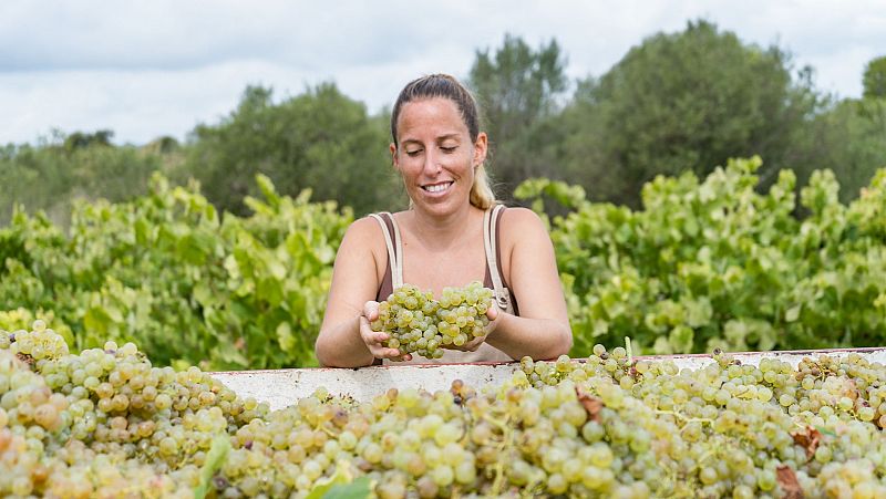 Aumentan las cosechas, nacen más niños, estrenamos el otoño y otras buenas noticias de la semana