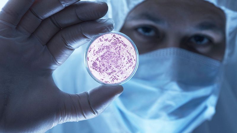 La Selección Española de la Ciencia 2017 preocupada por la fuga de jóvenes científicos brillantes