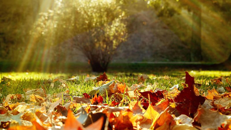 El otoño será más cálido de lo habitual en toda España tras un verano marcado por las olas de calor