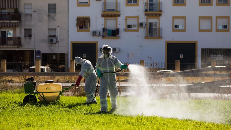 Un fallecido en Sevilla aumenta a nueve las muertes por el virus del Nilo en Andaluca