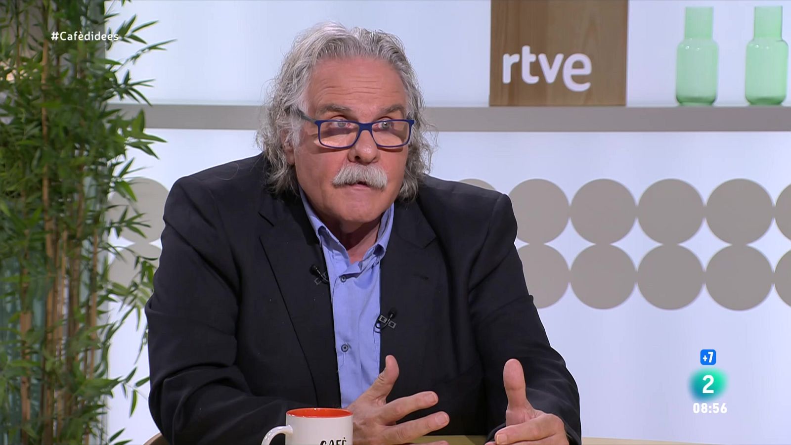 Joan Tardà considera "un error enorme" l'estructura B d'ERC | Veure