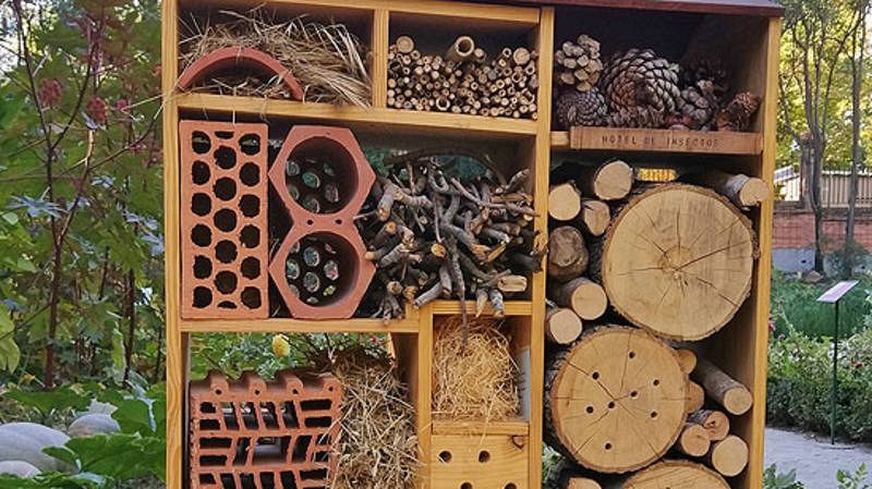 El Jardín Botánico de Madrid construye un hotel para que los insectos mejoren su polinización