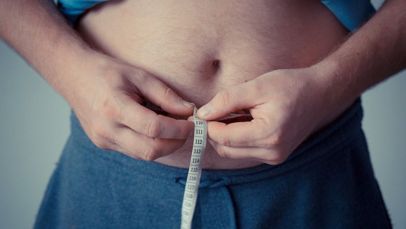 Descubren una proteína que controla la destrucción de grasa y podría servir para frenar la obesidad