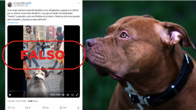 No es una mujer "desafiando" a refugiados con su pitbull en un barrio musulmn de Berln, es falso