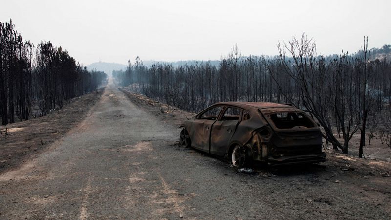 Al menos 38 personas mueren en los incendios de Portugal, donde siguen activos más de 50 fuegos