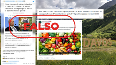 El Foro Econmico Mundial no exige la prohibicin de cultivar alimentos en casa para "frenar el calentamiento global"