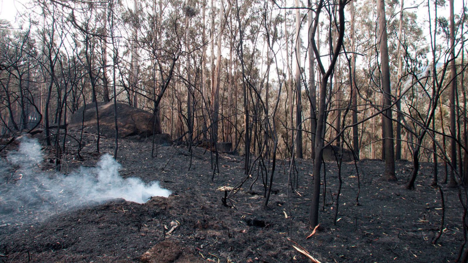 21 incendios siguen activos en Galicia, aunque ninguno amenaza ya a la población