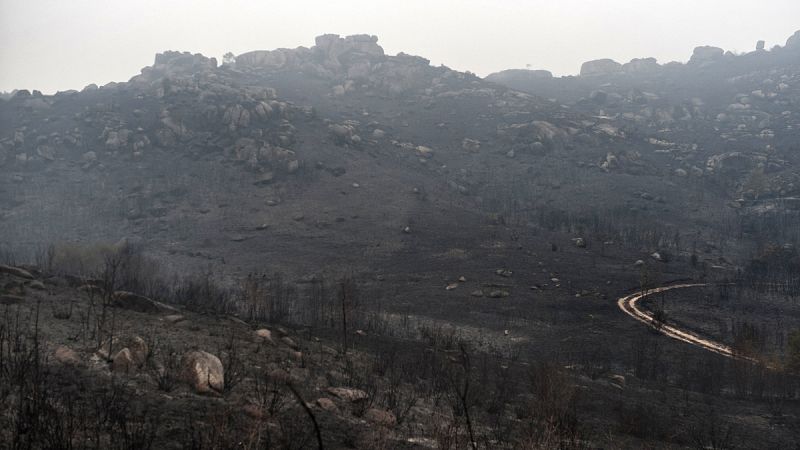 La Guardia Civil indica que los primeros indicios apuntan a la intencionalidad de la mayoría de los incendios en Galicia