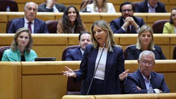 La senadora del PP, Alicia Garca, interviene durante una sesin de control al Gobierno