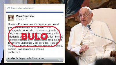 El papa Francisco no pide "oracin urgente" por cristianos "decapitados" en Irak, es un bulo