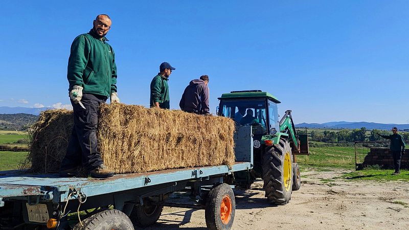 La agricultura ecolgica, una oportunidad de integracin para los migrantes: "El campo puede rescatar a las personas"