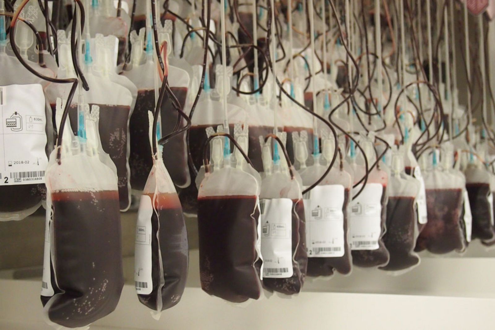 Documentos TV - La batalla por la sangre - Avance