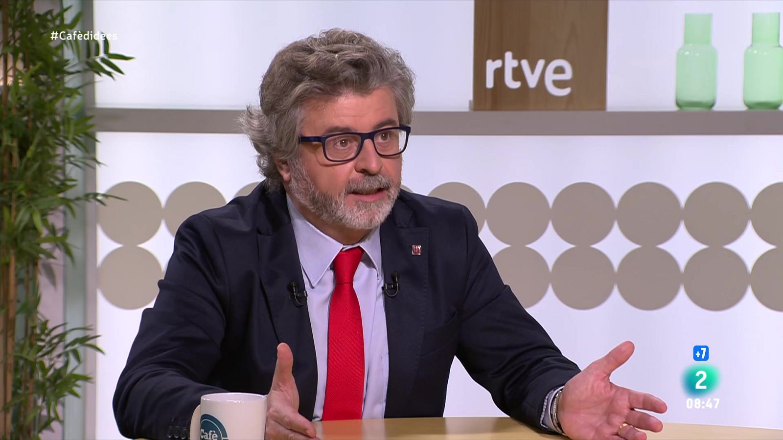 Castellà creu que Sánchez "ha complert" amb la llei d'amnistia | Veure