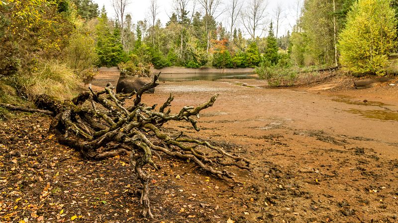 Los veranos más secos en tres siglos en España se han registrado en la última década