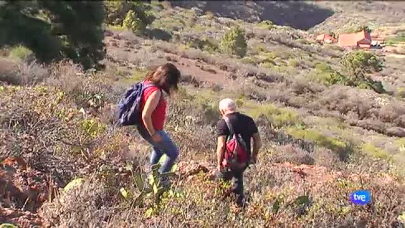 Un petroglifo palmero puede ser el primer mapa rupestre de Canarias