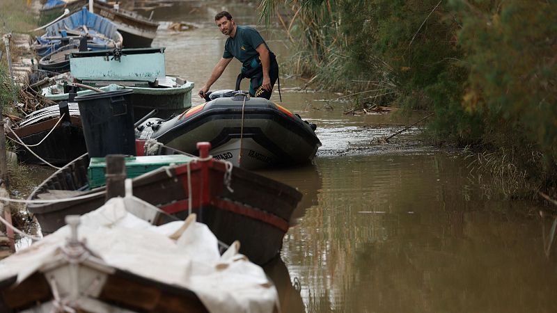 Catástrofe medioambiental en la Albufera: "¿Vamos a estar 50 años comiendo arroz intoxicado?"