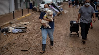 Igualdad refuerza el 016 para atender a las vctimas de las zonas afectadas por la DANA