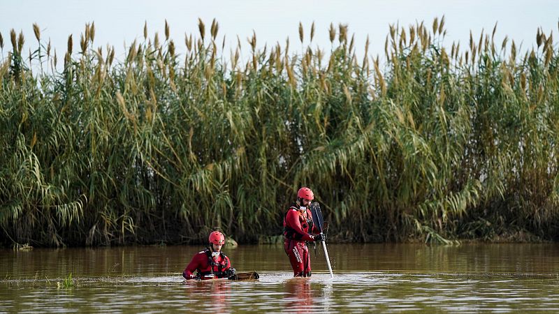 La Guardia Civil recurre al uso del sonar para la búsqueda de víctimas de la DANA en la Albufera de Valencia