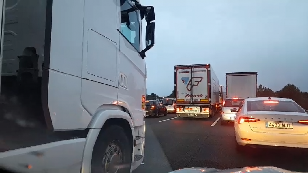 Avs taronja per mala mar al nord de la Costa Brava