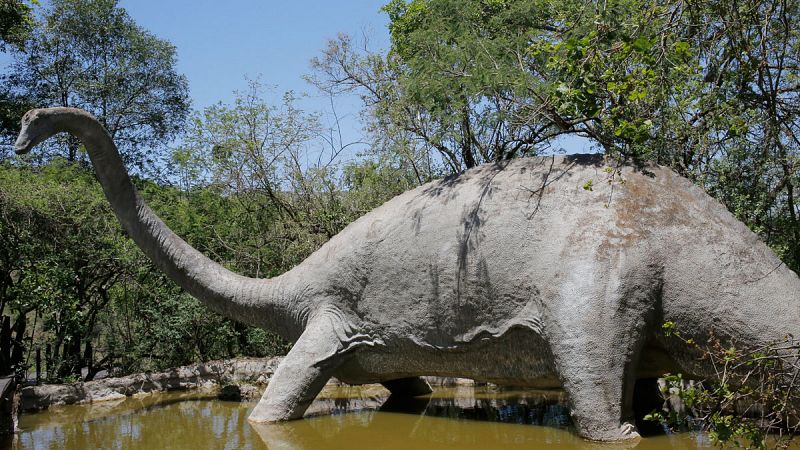 Los mamíferos se volvieron diurnos tras la extinción de los dinosaurios